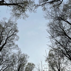 Meet your Posher, Lan